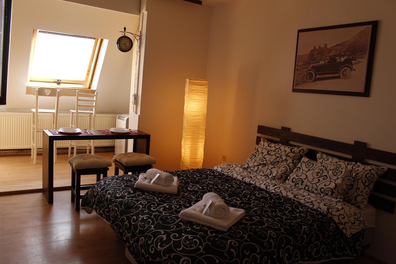 Apartman "Soba Sa Pogledom" Golubac Esterno foto